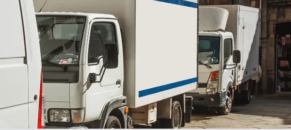 Montana Transfer